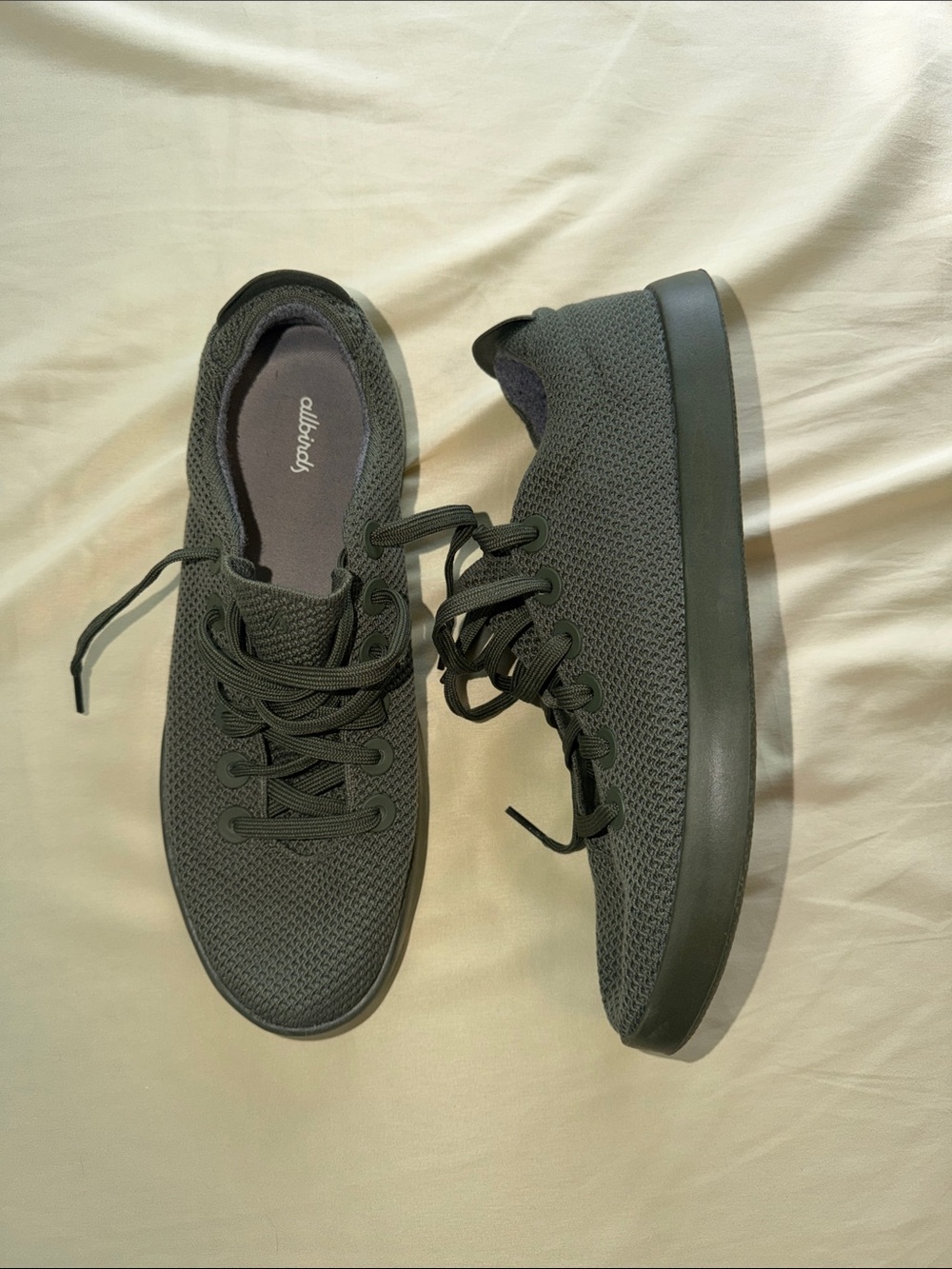 allbirds Men’s Knit Sneakers in Olive (Never Worn)